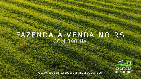 Renato Borghetti   Kilómetro Once (Transito Cocomarola)   Instrumental Sesc Brasil [VDownloader].00_00_29_06.Quadro013_232563fff21400a93a1b7d12e90133e82f251f14.jpg
